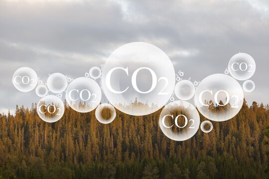 Tree canopy against a sky background with oxygen O2 and carbon dioxide CO2 molecules, release concept