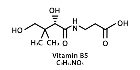 Vitamin B5 Pantothenic molecular structure. Vitamin B5 Pantothenic skeletal chemical formula. Chemical molecular formulas