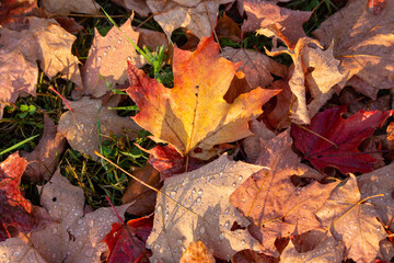 Fall in Canada