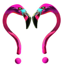 Flamino two question marks. Two pink and magenta flamingos are beak to beak but their necks look like question marks as they size each other up. This is a 3-d illustration. © Rob Goebel