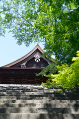 三井寺　新緑の金堂　滋賀県大津市
