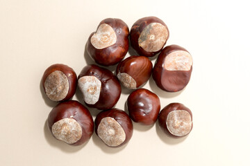 horse chestnuts or conkers on a paper background