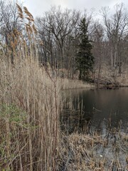 Appalachian Trail - Hudson Highlands, NY