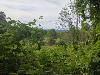 Obraz premium Appalachian Trail - Hudson Highlands, NY