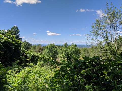 Appalachian Trail - Hudson Highlands, NY