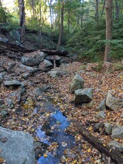 Appalachian Trail - Hudson Highlands, NY