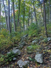 Fototapeta premium Appalachian Trail - Hudson Highlands, NY