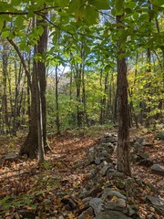 Fototapeta premium Appalachian Trail - Hudson Highlands, NY