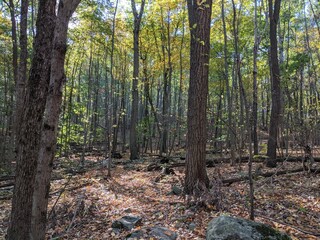 Fototapeta premium Appalachian Trail - Hudson Highlands, NY