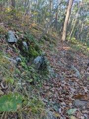 Appalachian Trail - Hudson Highlands, NY