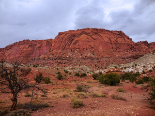 North American Landscapes