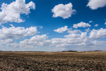 North American Landscapes