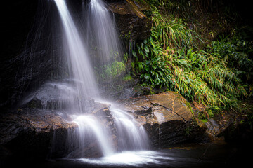 Obraz premium Tijuca National Park