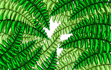 Green fern   tropical leaves watercolor hand drawn relax ,fresh  spring nature background
