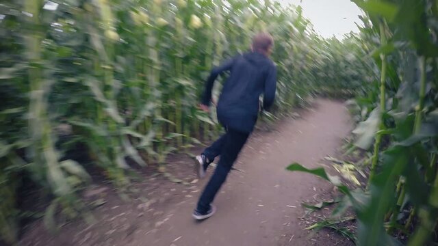 Young Boy Running in Halloween Corn Maze Follow Cam