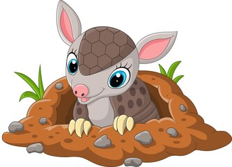 Cartoon cute baby armadillo out of a hole