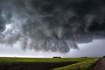 Supercell Storm