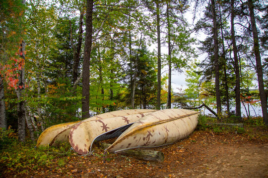 Rabaskas stored near the lake in the fall in the Canadian wilderness in the province of Quebec