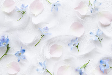 やわらかな白い羽と花の背景　花の壁紙