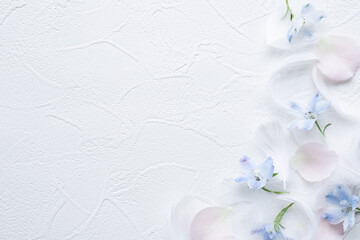 和風素材お正月や和風結婚式の背景wall Mural Wallpaper Murals Shironagasukujira
