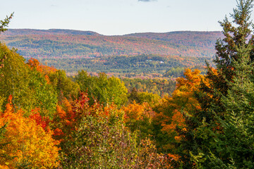 Fototapeta premium Fall colors in the Canadian forest in the province of Quebec