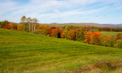 Fototapeta premium Fall colors in the Canadian forest in the province of Quebec