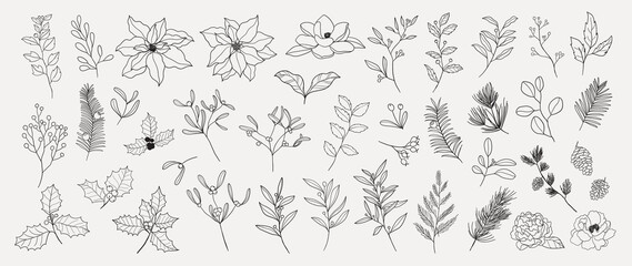 Minimal botanical hand drawing design for logo and wedding invitation. Spring and autumn Floral line art.  Flower and leaves design collection for bouquets decoration, card and packaging background.