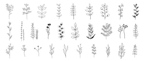 Obraz premium Minimal botanical hand drawing design for logo and wedding invitation. Spring and autumn Floral line art. Flower and leaves design collection for bouquets decoration, card and packaging background.