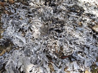 texture of a stone