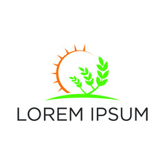 Sun leaf logo design