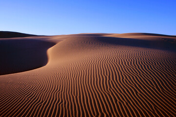 Naklejka premium Wind ripples in desert sand