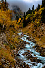 Fototapeta na wymiar mountain river in autumn