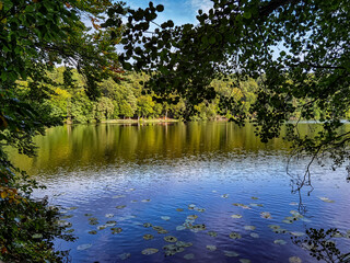 lake in the park