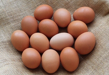 Fresh brown eggs on textile