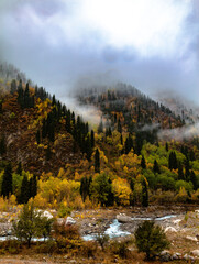 autumn landscape in the mountains