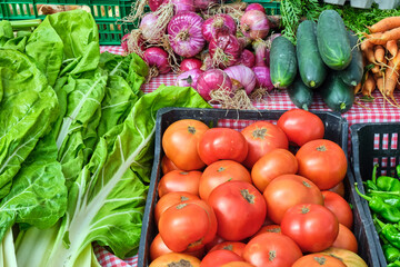 Tomatoes and salad for sale at a market