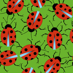 Insect ladybug decorative pattern on green background