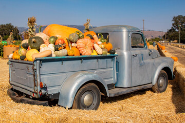 An old truck hauling pumpkins 