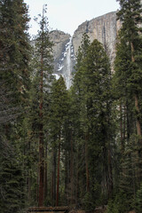 yosemite falls in yosemite