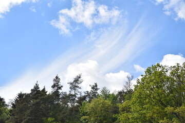 Fototapeta na wymiar Priesendorf - Bayern - Deutschland - Wolkenschleier über einem Wald