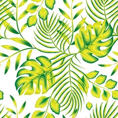 Exotic jungle plants illustration seamless pattern with green monstera leaves and palm leaf on white background. tropical seamless wallpaper. fashionable print texture. exotic summer