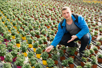 Male owner of plantation supervising growth of tomato seedlings in greenhouse