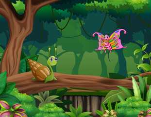 Cartoon a snail and butterfly in the forest © dreamblack46