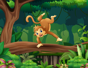 Cartoon illustration of a monkey on the tree