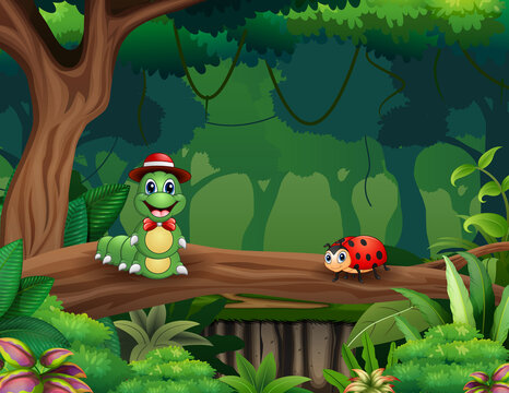 Cartoon a caterpillar and ladybug in the forest