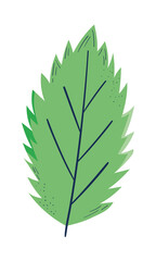 holly leaf icon