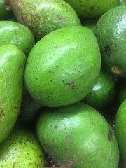 Close up of fresh ripe avocado.