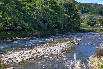 静岡県伊豆市　狩野川の鮎釣り