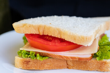 sandwich with ham tomatoes cheese with salad on a white plate