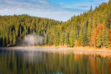 landscape at the mountain lake in autumn. beautiful nature scenery in the morning. spruce forest on the shore. synevyr national park, ukraine